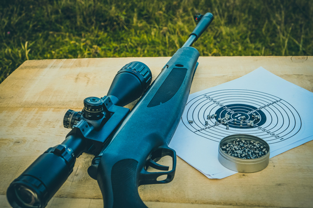 Airgun and Pellets | Do Air Guns Have Value to a Prepper?