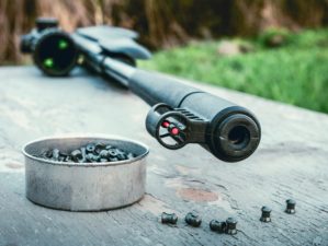 Feature | Reasons Why You Should Own a Pellet Gun