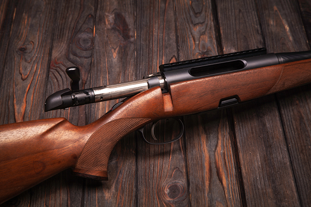 Action Type Matters | Tips for Buying a Bolt-Action Rifle