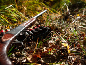 Hunting Season Begins As Gun & Ammunition Shortage Intensifies