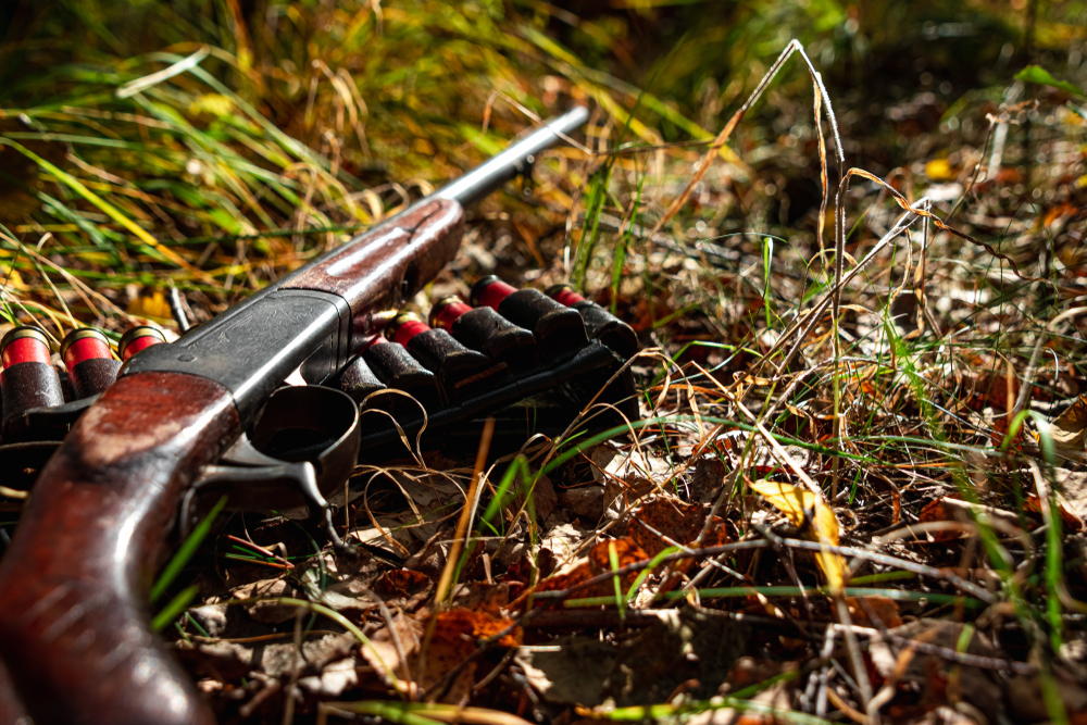 Hunting Season Begins As Gun & Ammunition Shortage Intensifies