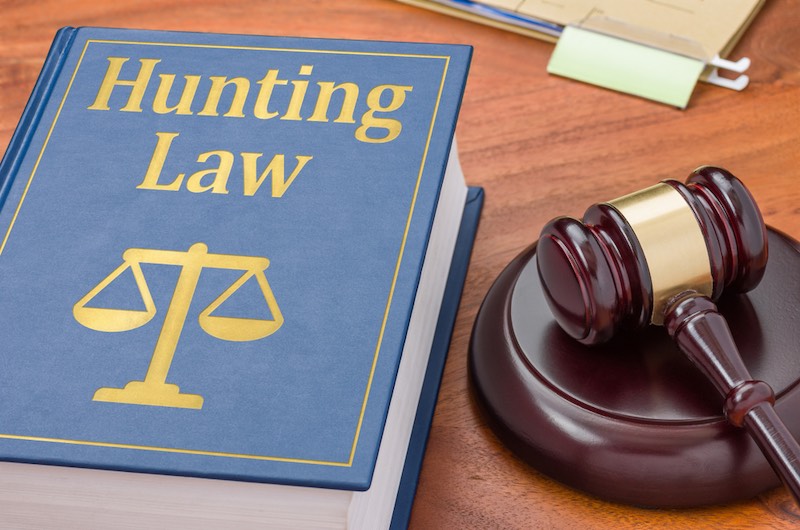 A law book with a gavel - Hunting Law | deer hunting for beginners