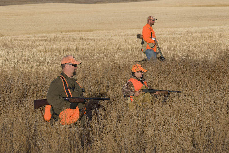 A group of pheasant hunters | pheasant hunting videos