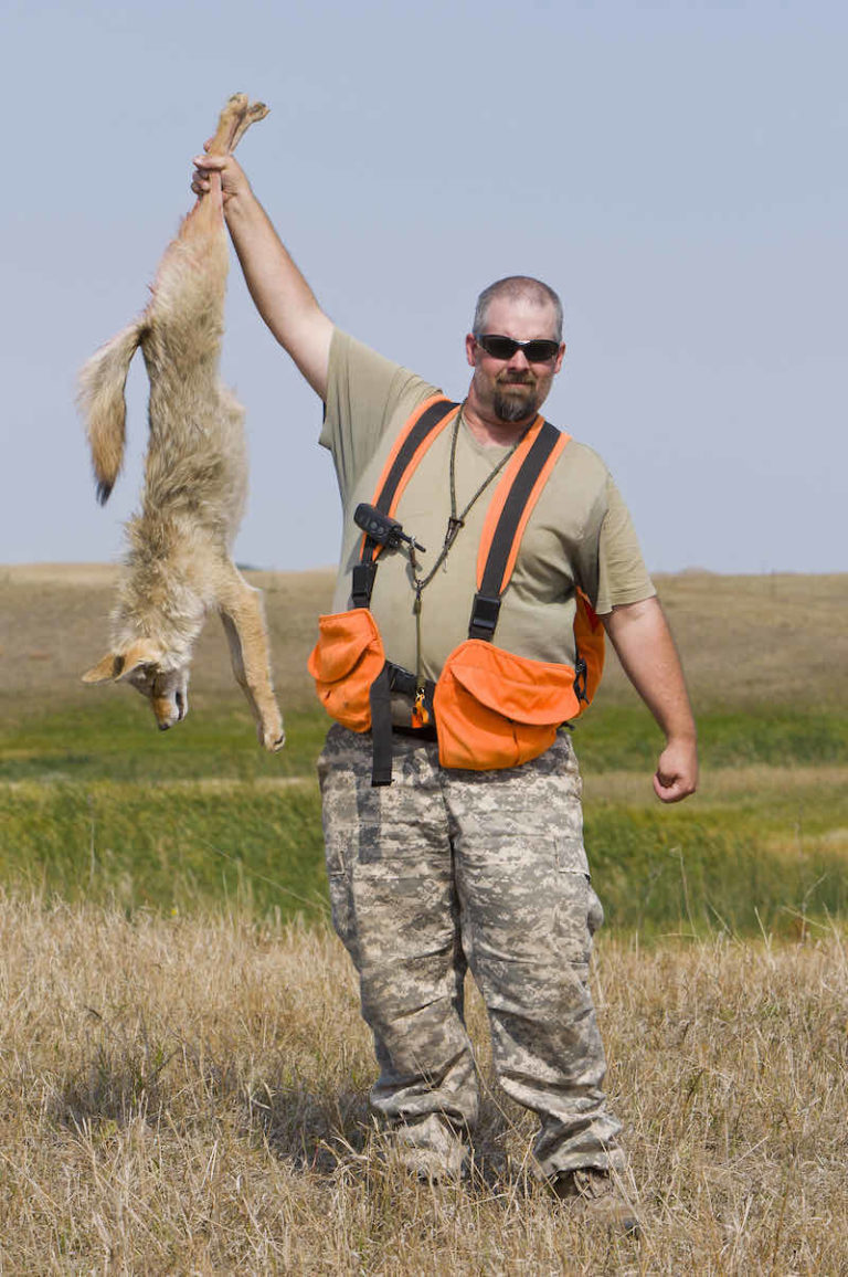 What Beginners Should Know About Successful Coyote Hunting