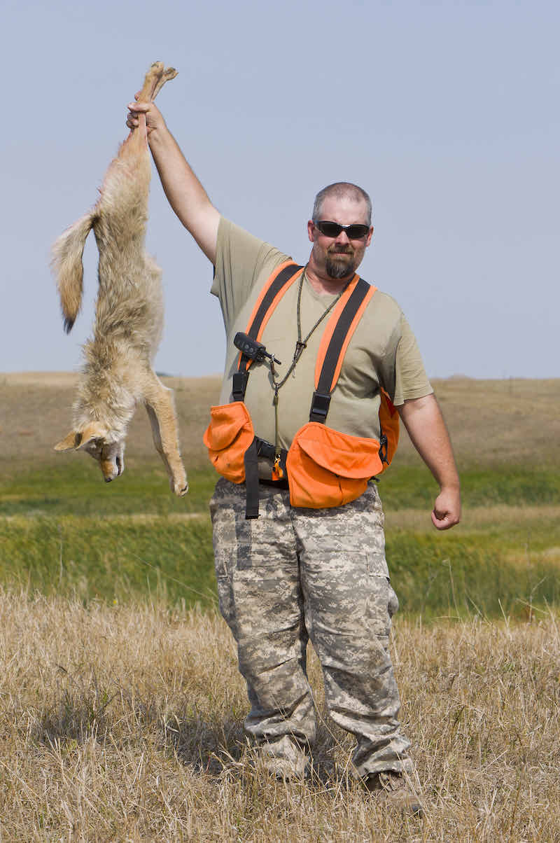 Coyote Hunting | coyote hunting tips for beginners