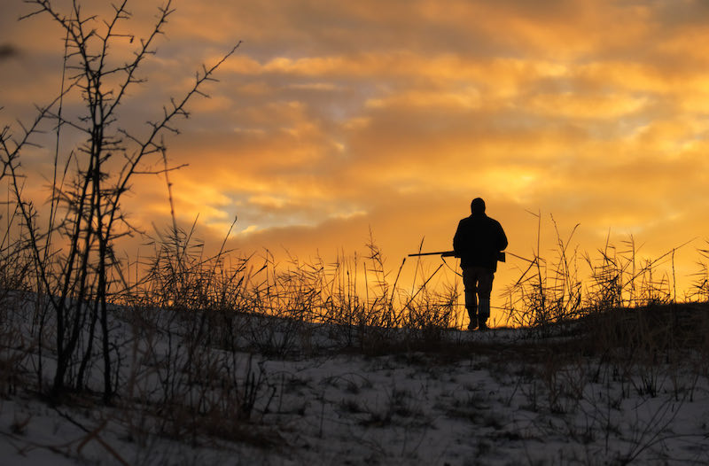 Winter hunting at sunrise | crow hunting videos