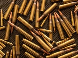 many-bullets-calibre-338-223-on | Reasons To Try the .338 Federal on Your Next Hunt | Featured