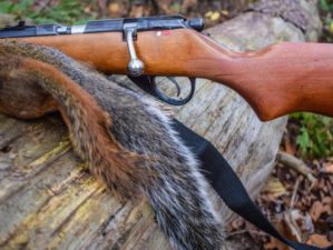 small game hunting | How To Choose The Best Varmint Rifle For Wide Open Space Hunting? | Featured