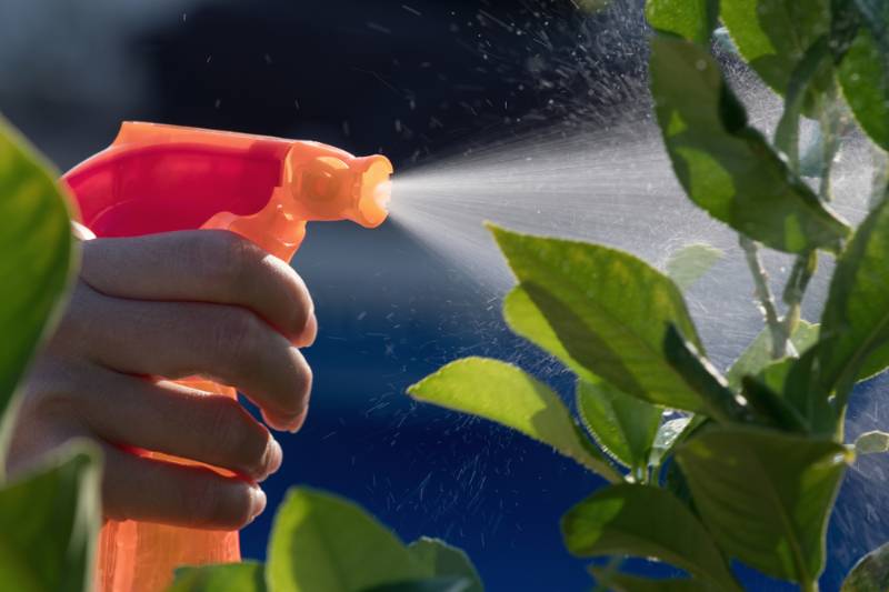 woman spraying flowers garden pesticides insecticide how to make pepper spray SS 1