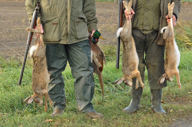 Hunters with Catch: Hare, Duck and Pheasant in hand | wilderness survival guns