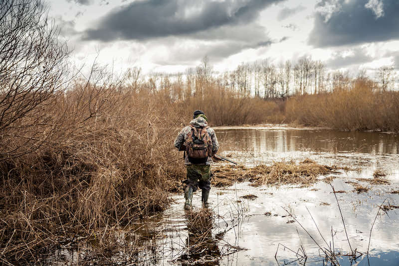 hunter man creeping in swamp during hunting period | rabbit hunting season