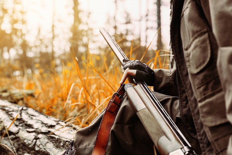 Autumn hunting season | squirrel hunting tips for beginners