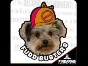 fudd buster podcast banner
