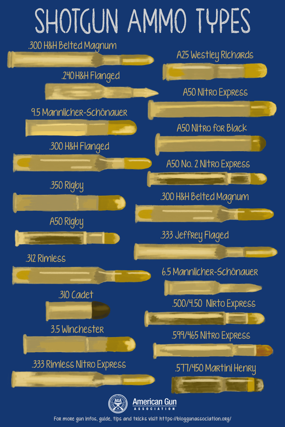 Shotgun Ammo Types | infographic