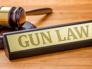A gavel and a name plate with the engraving Gun Law | Missouri's Second Amendment Sanctuary Law is Being Challenged | Featured