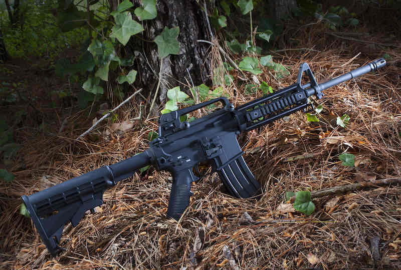 Assault rifle on pine needles with ivy and trees around | best military bolt action rifles