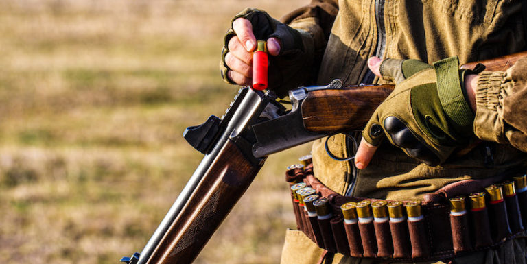 Top 10 Best Hunting Shotguns For Hunters Of All Levels