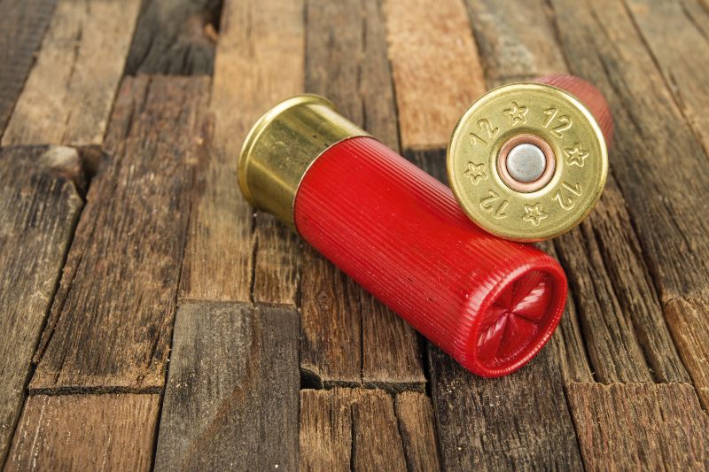 12-Gauge Red Hunting Cartridges for Shotgun | Smith and Wesson Shotgun