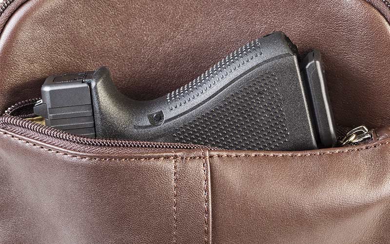 modern personal weapon in woman brown leather handbag | S&W M&P 2.0 10mm Gun Review