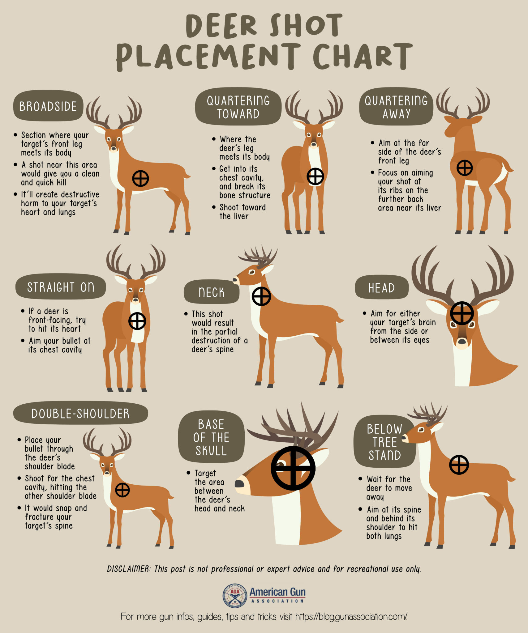 Where To Shoot A Deer 9 Ethical Kill Placements You Need To Know