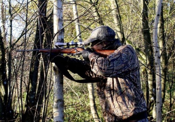 What Should You Check Before Choosing A Firearm For Hunting? 5 Best ...