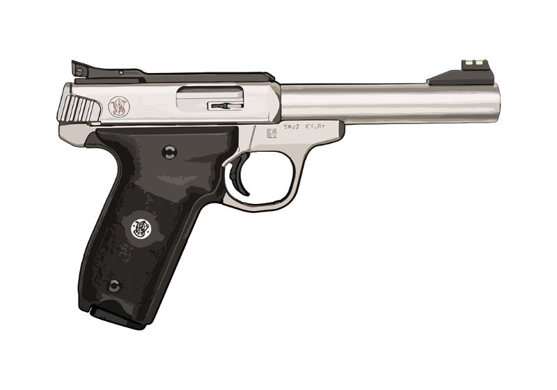 Smith & Wesson SW22 Victory
