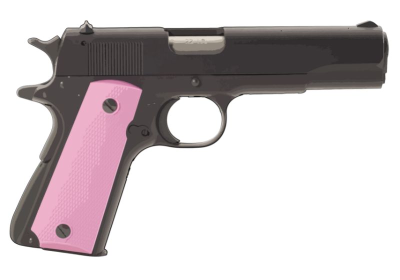 Browning 1911-22 A1 Compact Black and Pink Gun