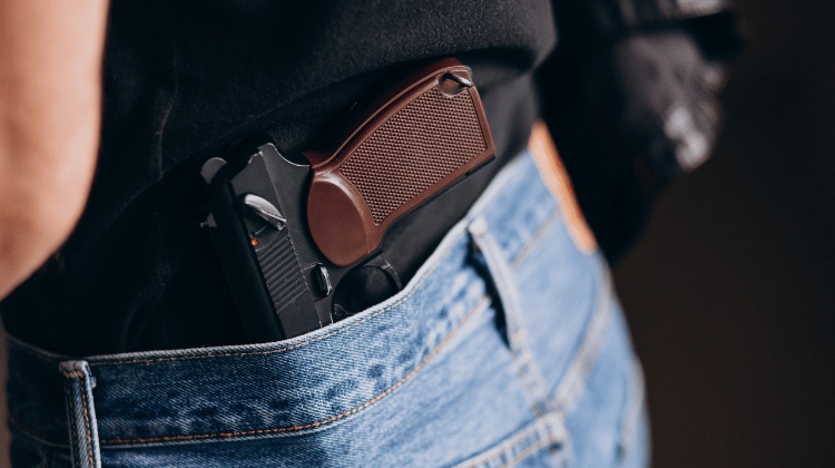 Pocket Pistols for Home Defense