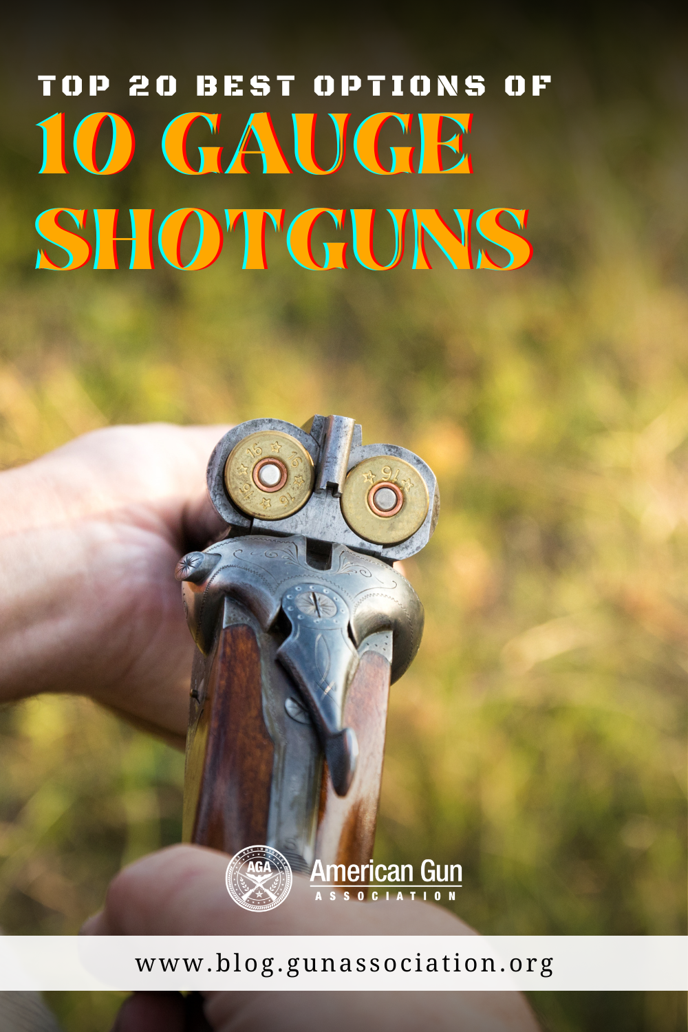 10 gauge shotgun