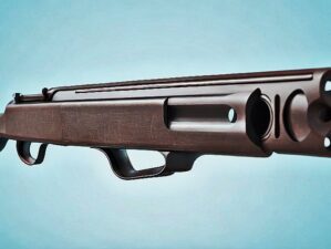 20 gauge shotgun