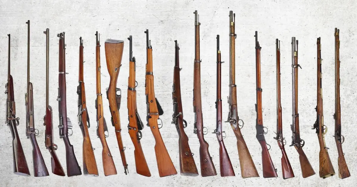 Rifles , carbine, gun