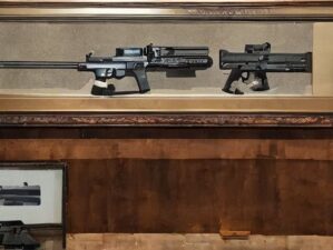 decorative gun safes