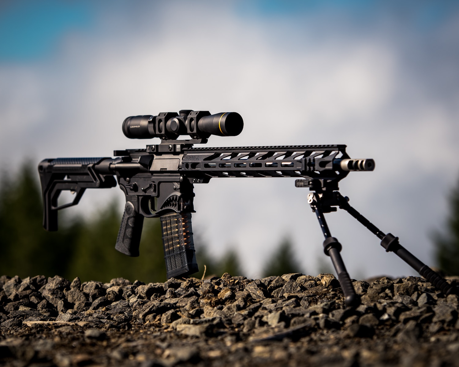 black rifle with scope on brown soil Springfield Armory Edge Evac