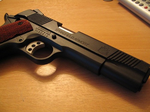 pocket pistol with adjustable sights