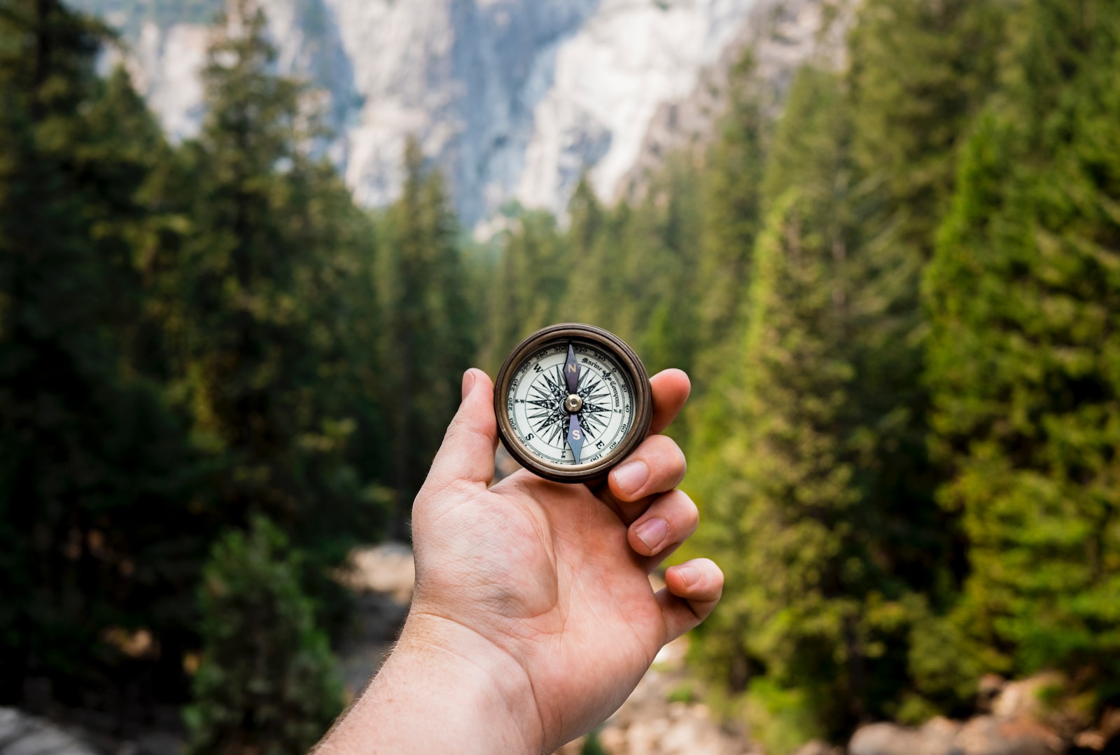 person holding compass 101 facing towards green pine trees