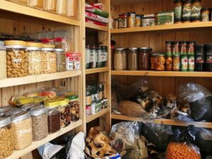 Building Your Food Supply