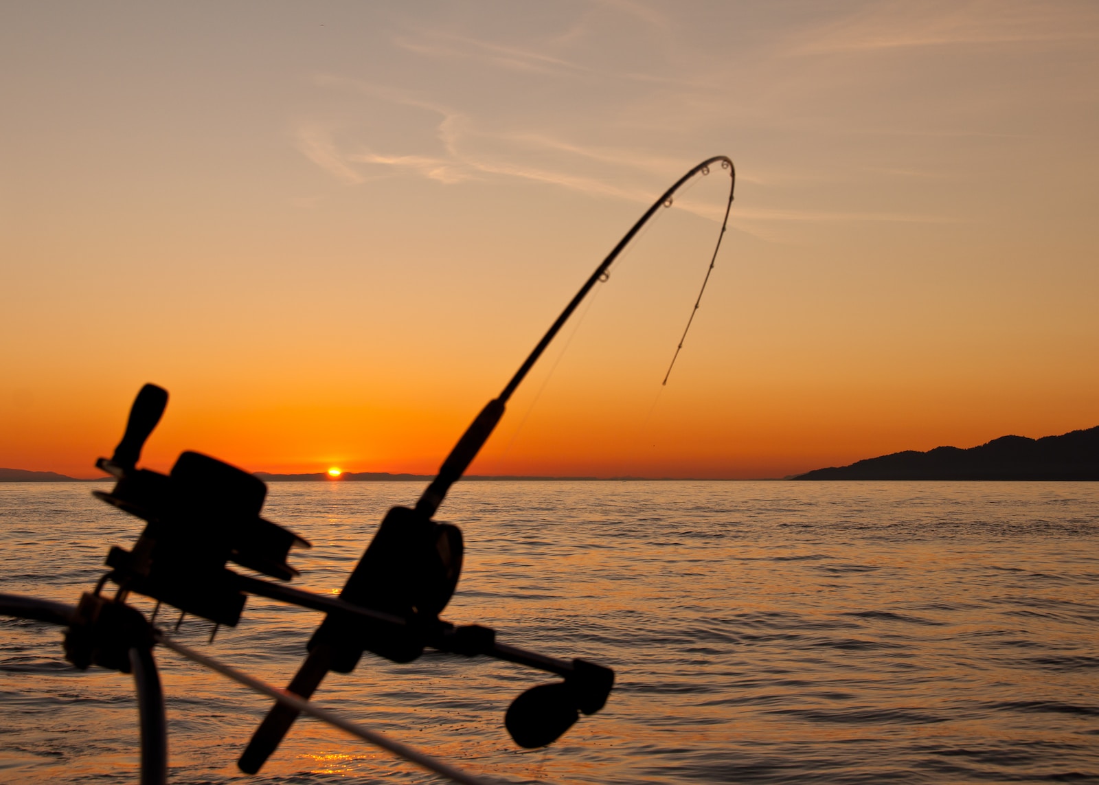 DIY Fishing Pole black fishing rod and body of water during golden hour